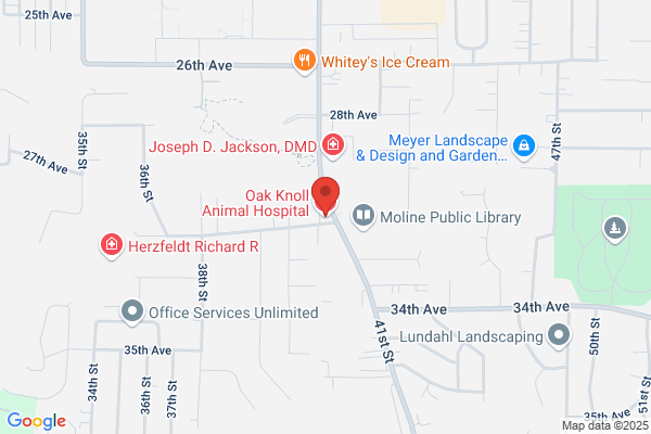 Abel Keppy Animal Hospital