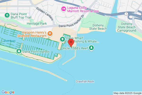 Dolphin Marine Fuels Inc