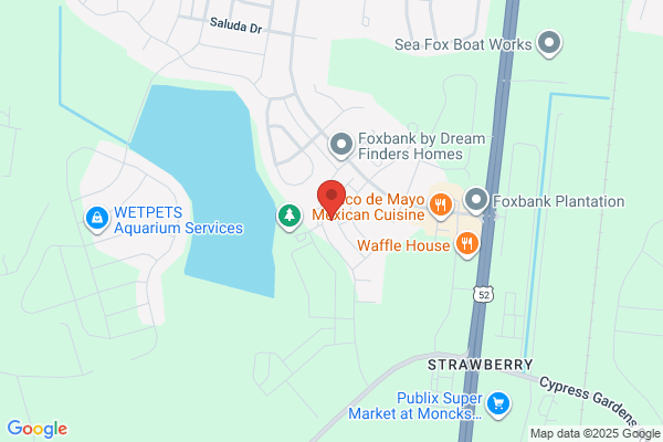 DRB Homes Recess Pointe