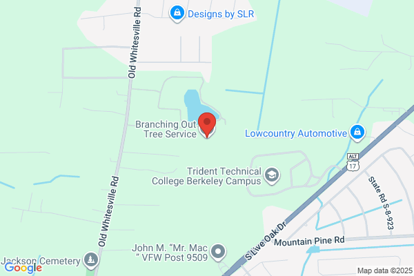 Branching Out Tree Services