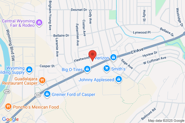 Advance Auto Parts