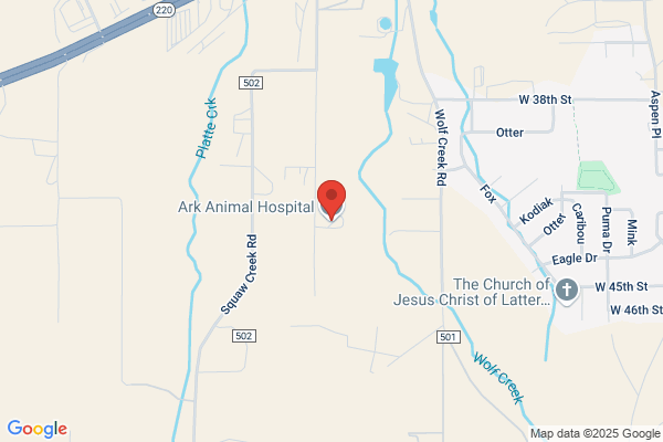 Ark Animal Hospital