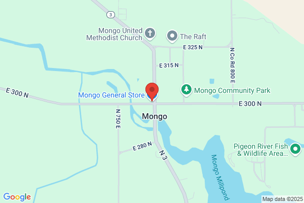 Mongo Country Store Inc