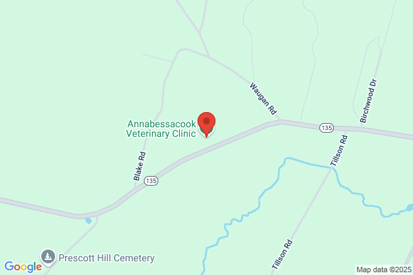 Annabessacook Veterinary Clnc