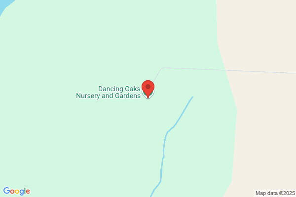 Dancing Oaks Nursery