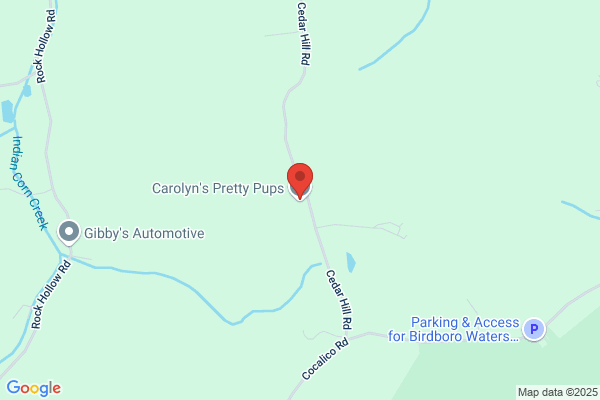 Carolyns' Pretty Pups