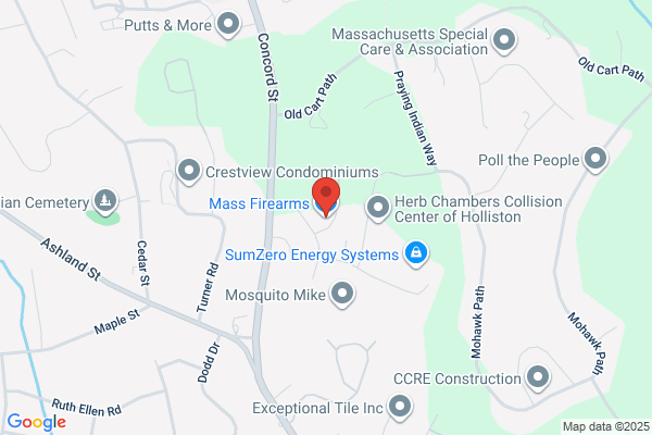 Massfirearms Com