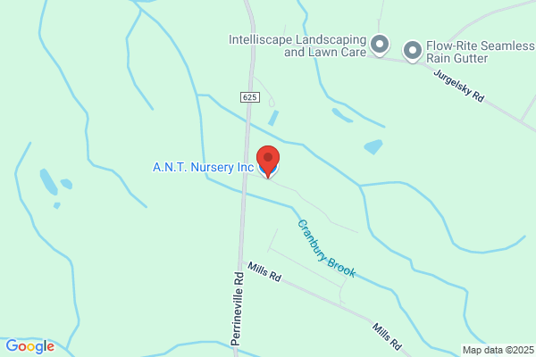 Ant Nursery Inc