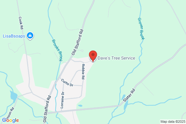 Dave's Tree Service & Odd Jobs