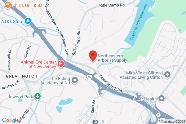Northeast Arborists