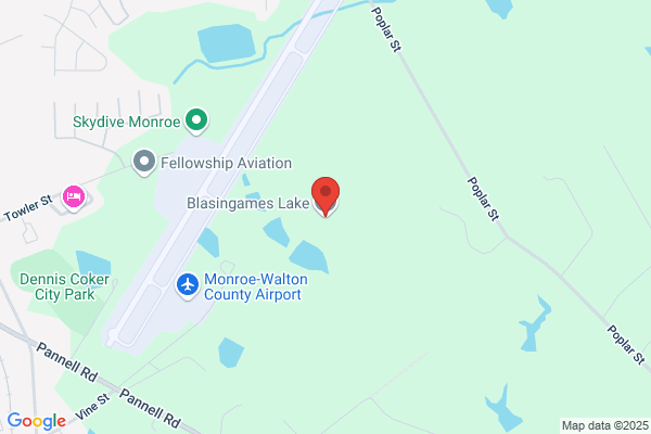 Blasingame Lake