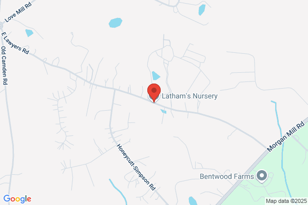 Latham's Nursery