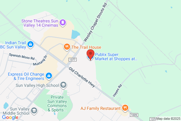 Publix Super Market at Shoppes at Hanfield Village