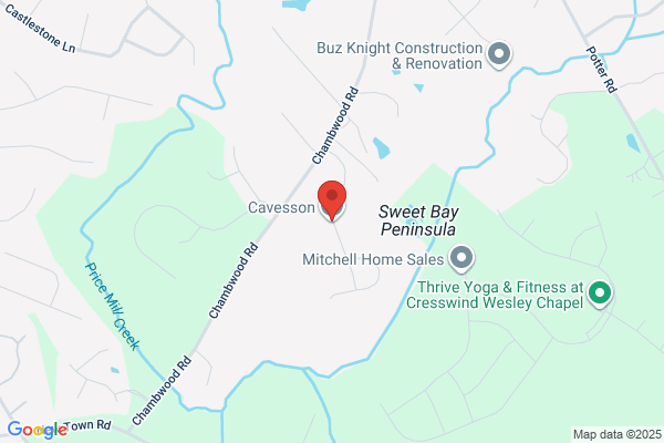 Cavesson by John Wieland Homes and Neighborhoods-- CLOSED