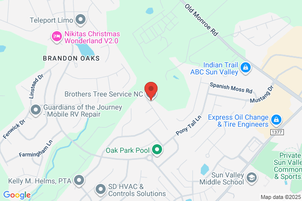 Brothers Tree Service