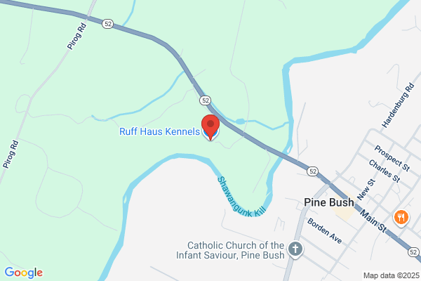Buff Harris Kennels & Grooming