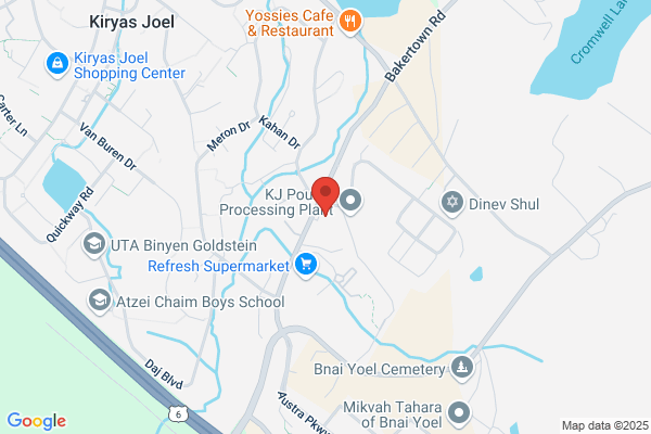 Kiryas Joel Developmental Disabilities