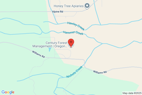 Century Forest Management