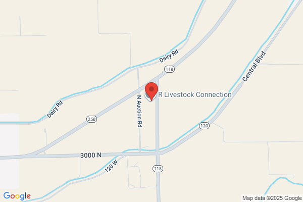 R Livestock Connection