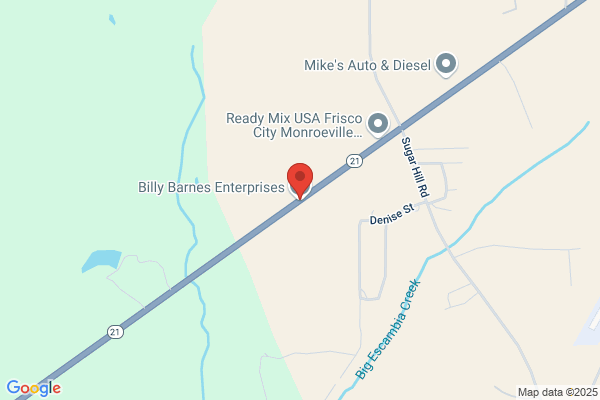 Barnes Billy Enterprises Inc