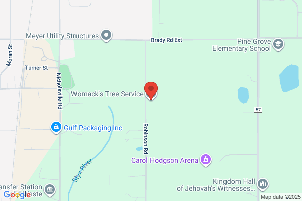 Womack's Tree Service