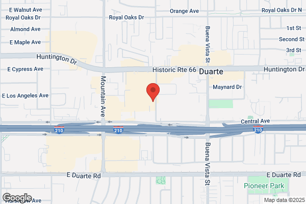 Mountain View Tire