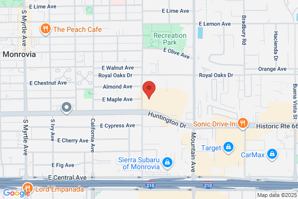 Old Town Fight Club