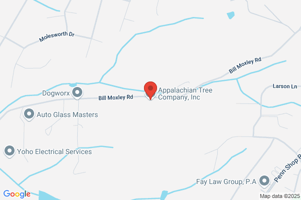 Appalachian Tree Co Inc
