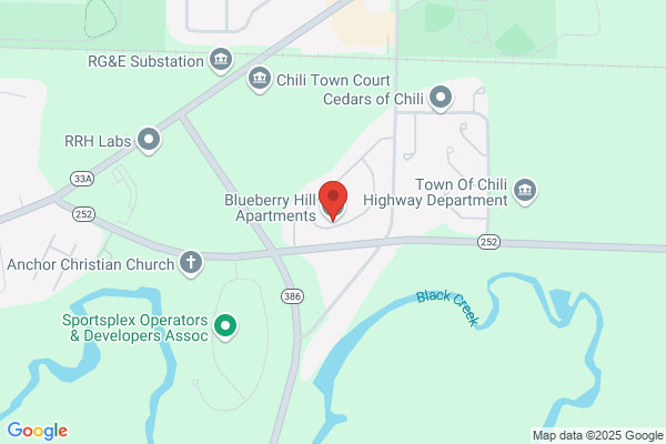 Blueberry Hill Apartments