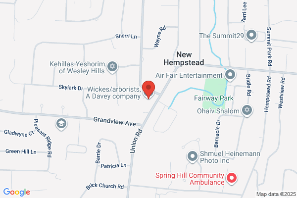 Rockland Tree Expert Co Inc