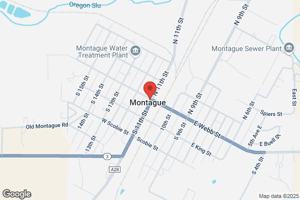 Montague Electric