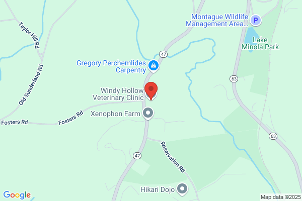 Windy Hollow Veterinary Clinic
