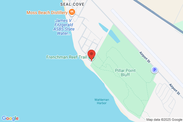 Seal Cove Financial