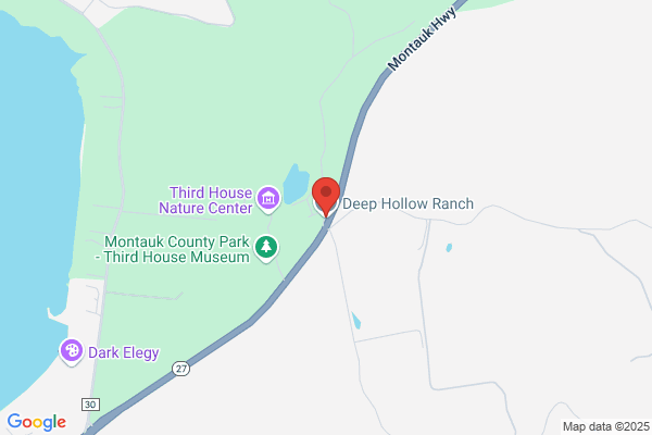 Deep Hollow Ranch Beach & Trail Rides