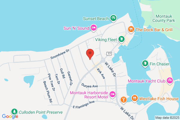 Fort Pond Home Surveillance