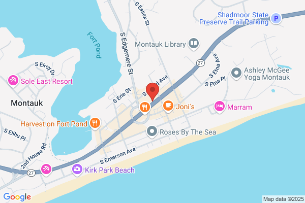 Montauk Dazies