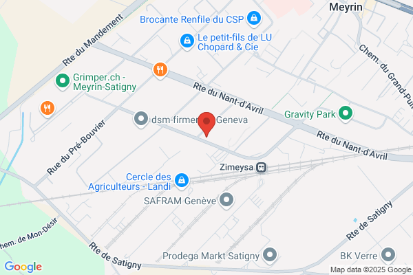 Geneva Motors