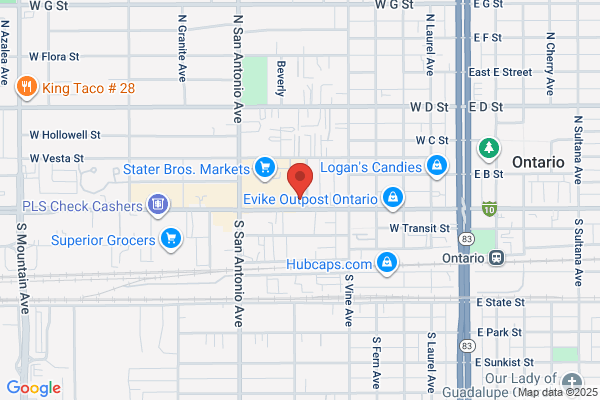 Erika's Insurance