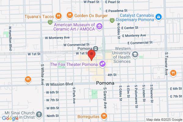 Hollywood Video