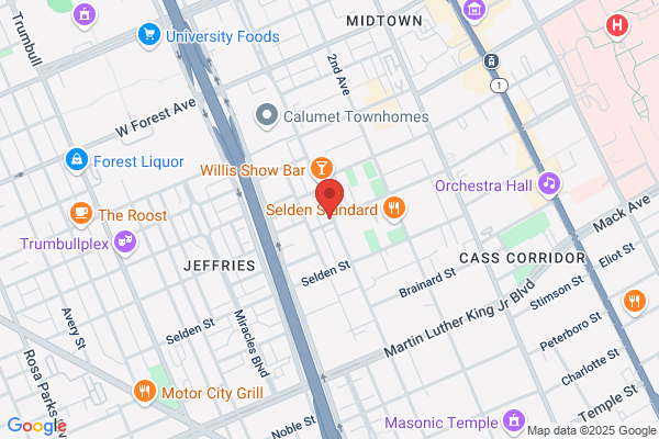 Detroit Fried Chicken