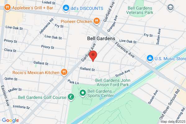 Cars & Bus Clinic
