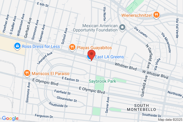 Hispanic American Insurance