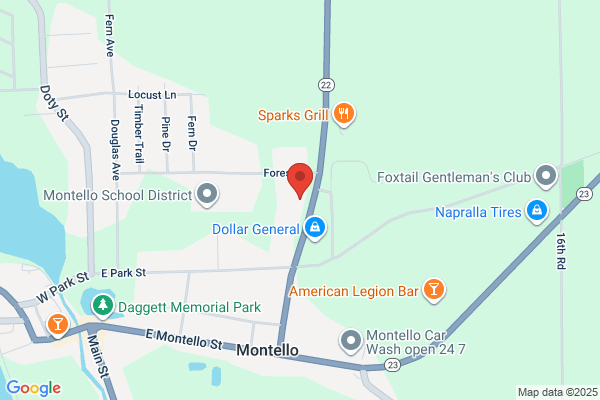 Advance Auto Parts