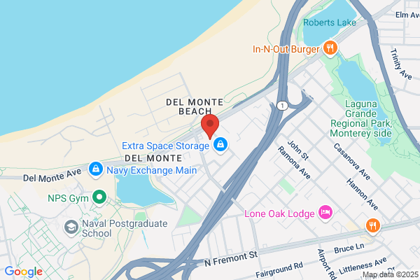 Monterey Tree Service Experts