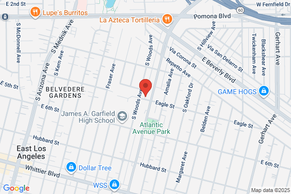 Especialotiz Auto Grooming