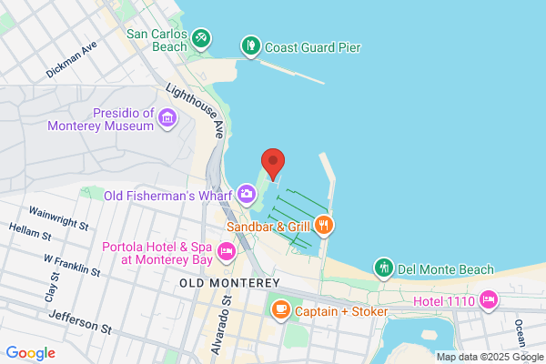 Monterey Whale Watching