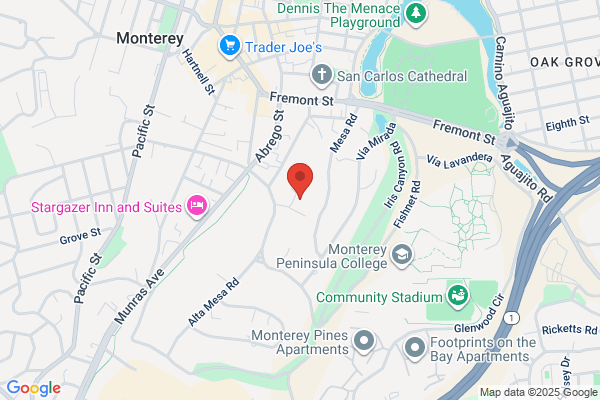 Falkel Mic DDS