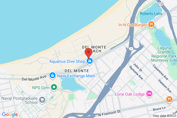 Natales Auto Service Center