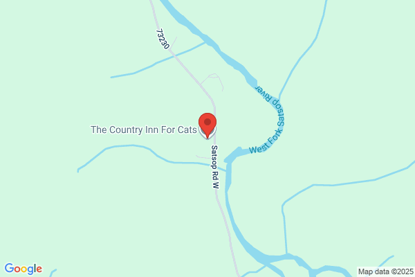 The Country Inn For Cats