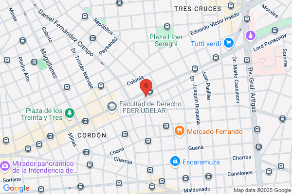 Montevideo Internet Service